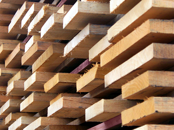 Ukázka palivového dřeva firmy Řezivo Uhřice